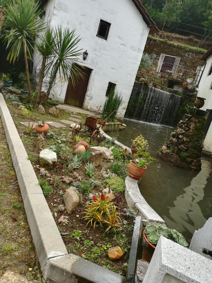 Maison d'hôtes Casa Do Engenho à Caldas de Sao Jorge Extérieur photo